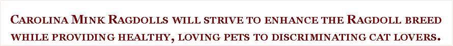 Text Box: Carolina Mink Ragdolls will strive to enhance the Ragdoll breed while providing healthy, loving pets to discriminating cat lovers. 